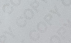 ghost word revealed by photocopy 